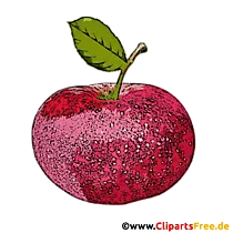 Frucht Bild, Illustration, Clipart in Hochauflösung zum Drucken