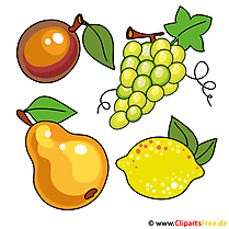 Früchte, Obst Bilder, Cliparts