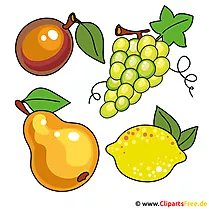 Früchte, Obst Bilder, Cliparts
