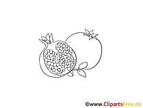 Granatapfel Bilder in schwarz-weiss