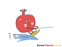 Granatapfel Clipart, Bild, Cartoon gratis