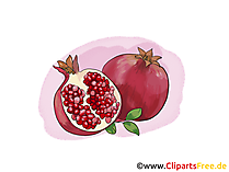Granatapfel Illustration, Bild, Clipart kostenlos Granatapfel Illustration, Bild, Clipart kostenlos
