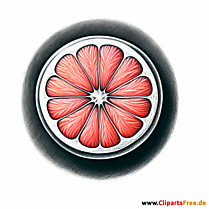 Grapefruit Clipart