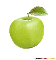 Grüner Apfel Bild, Clipart, Grafik