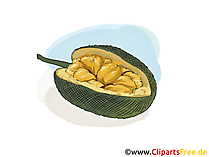 Gujabe Illustration, Bild, Clipart kostenlos