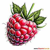 Himbeere Clipart