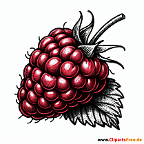 Himbeere Clipart zum Thema Obst