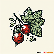 Johannisbeere Clipart zum Thema Obst