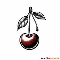Kirsche Clipart zum Thema Obst