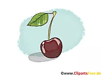 Kirsche Illustration, Bild, Clipart kostenlos