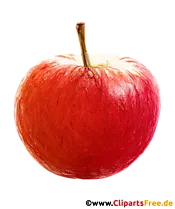 Leckerer Apfel Zeichnung in Farbe mit transparentem Hintergrund