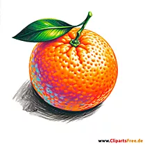 Mandarine Clipart