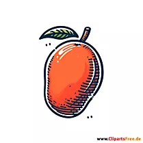 Mango Clipart, Bild, Illustration