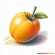 Mirabelle Clipart