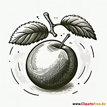 Mirabelle Clipart zum Thema Obst