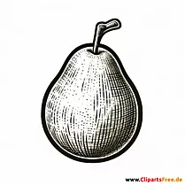 Nashi-Birne Clipart schwarz-weiß zum Thema Obst