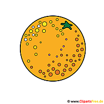 Orange Clipart