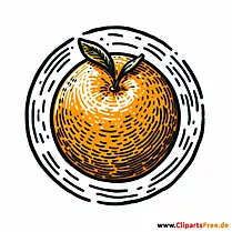 Orange Clipart zum Thema Obst