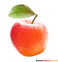 Grafika oranžového jablka, skica, obrázok
