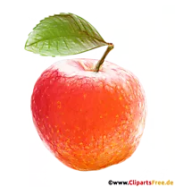 Orangener Apfel Grafik, Skizze, Bild