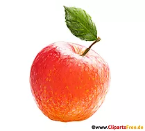 Orangener Apfel mit grünem Blatt Bild- Bilder für Schule