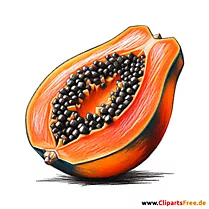 Papaya Clipart