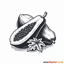 Papaya Clipart zum Thema Obst