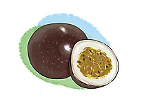 Passionsfrucht, Maracuja Illustration, Bild, Clipart kostenlos