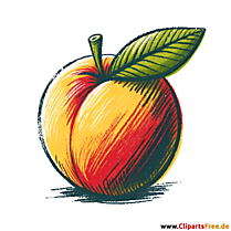 Pfirsich auf weißem Hintergrund Clipart
