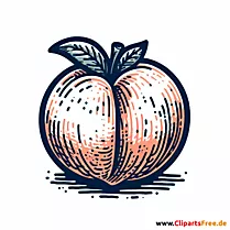 Pfirsich Clipart zum Thema Obst