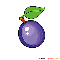 Pflaume Clipart
