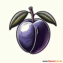 Pflaume Clipart zum Thema Obst