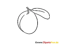 Pflaume Cliparts Obst