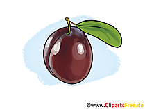 Pflaume Illustration, Bild, Clipart kostenlos Pflaume Illustration, Bild, Clipart kostenlos