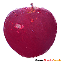 Pflaumel Illustration im PNG-Format