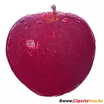 Pflaumel Illustration im PNG-Format