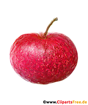 PNG clipart æble