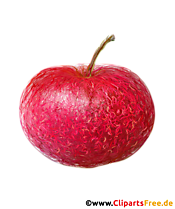 PNG Clipart Apfel
