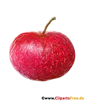 PNG Clipart Apfel