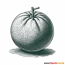 Pomelo Clipart zum Thema Obst