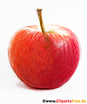 Náčrt kresby červené jablko