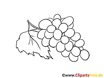 Trauben zum Ausmalen Obst Cliparts