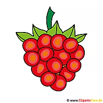 Weintraube Clip Art gratis