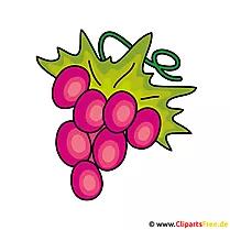 Weintrauben Clip Art