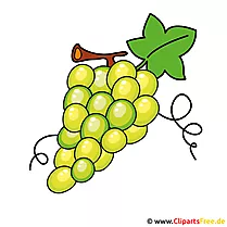 Weintrauben Clipart