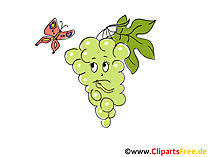Weintrauben Clipart, Bild, Cartoon gratis