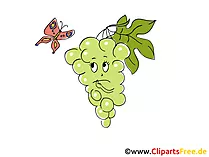 Weintrauben Clipart, Bild, Cartoon gratis