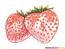 Zeichnung Erdbeeren auf dem weißen Hintergrund Illustration
