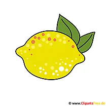 Zitrone Bild