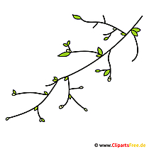 Image de branche d'arbre - clipart - clipart printemps gratuit